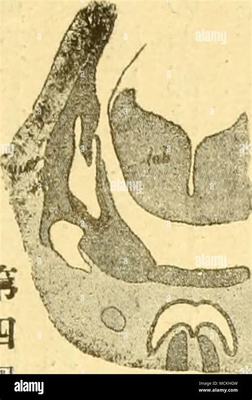 那曲小游戲代理加盟及手游代理網絡技術開發全解析
