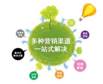 網(wǎng)站設(shè)計(jì)與網(wǎng)絡(luò)技術(shù)開(kāi)發(fā) 專(zhuān)業(yè)服務(wù)歡迎來(lái)電咨詢(xún)