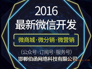 如何甄選實(shí)力雄厚的微信營(yíng)銷(xiāo)推廣服務(wù)商 從生產(chǎn)廠家到網(wǎng)絡(luò)技術(shù)開(kāi)發(fā)的全面解析